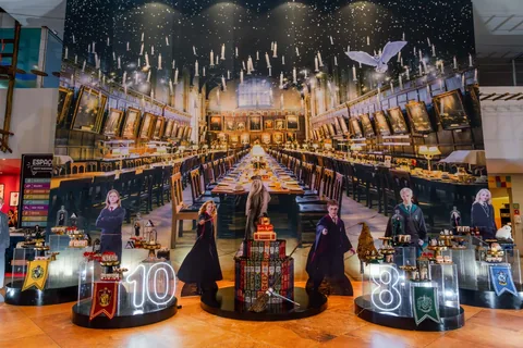 Decoração de festa infantil Harry Potter em Brasília DF — montagem real, foto 7