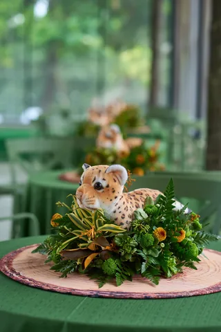 Decoração de festa infantil Animal Kingdom em Brasília DF — montagem real, foto 1