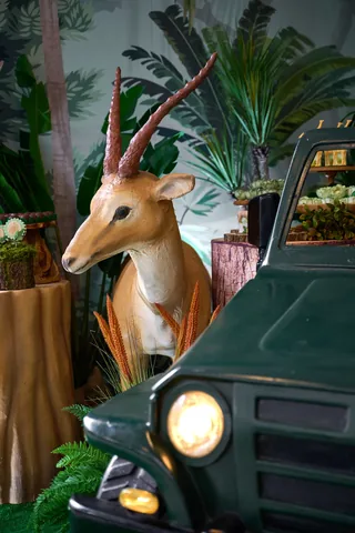 Decoração de festa infantil Animal Kingdom em Brasília DF — montagem real, foto 7