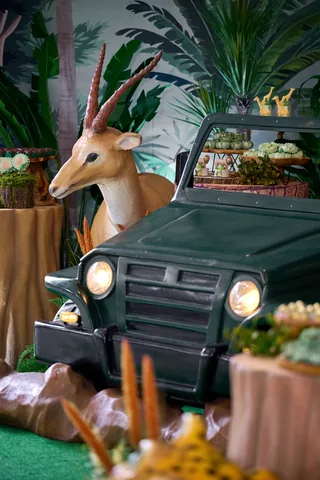 Decoração de festa infantil Animal Kingdom em Brasília DF — montagem real, foto 13