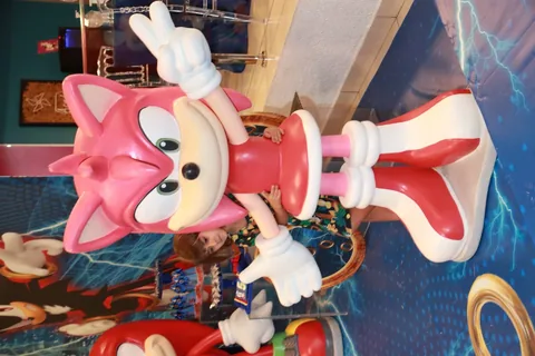Decoração de festa infantil Sonic em Brasília DF — montagem real, foto 6