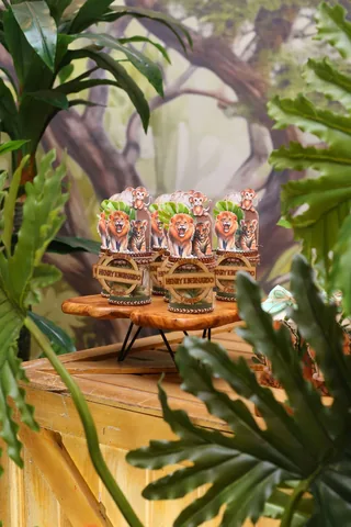 Decoração de festa infantil Safári em Brasília DF — montagem real, foto 16