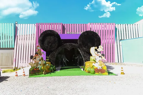 Decoração de festa infantil Safári Disney em Brasília DF — montagem real, foto 6