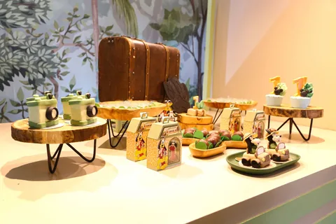 Decoração de festa infantil Safári Disney em Brasília DF — montagem real, foto 18
